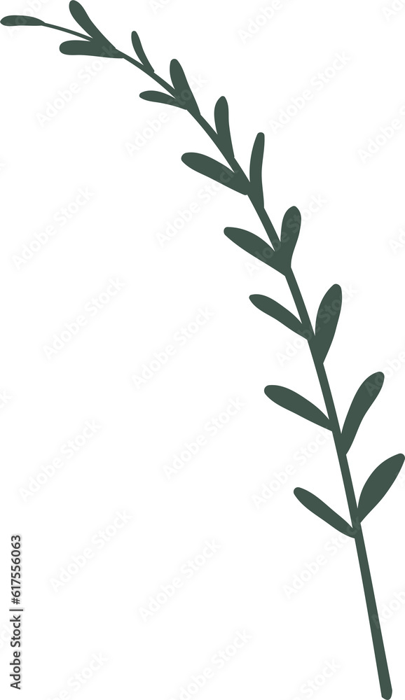 plant leaves 200