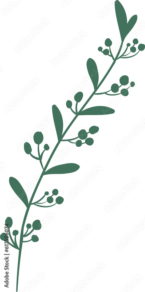plant leaves 193 plant leaves 193