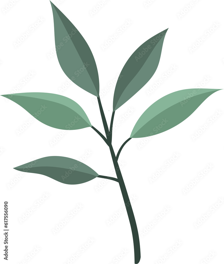 plant leaves 189 plant leaves 189