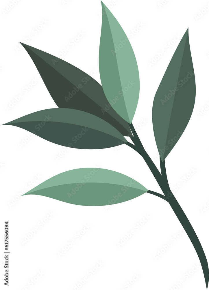 Fototapeta premium plant leaves 187