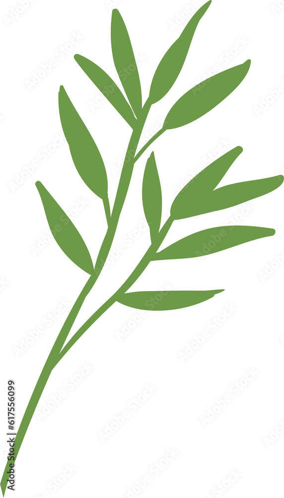 plant leaves 184 plant leaves 184