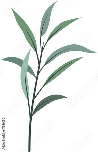 plant leaves 214