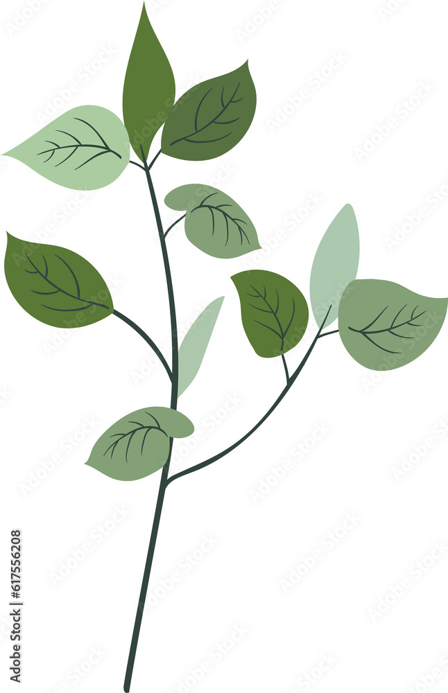 plant leaves 134