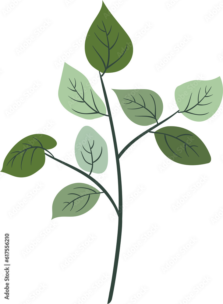 plant leaves 133
