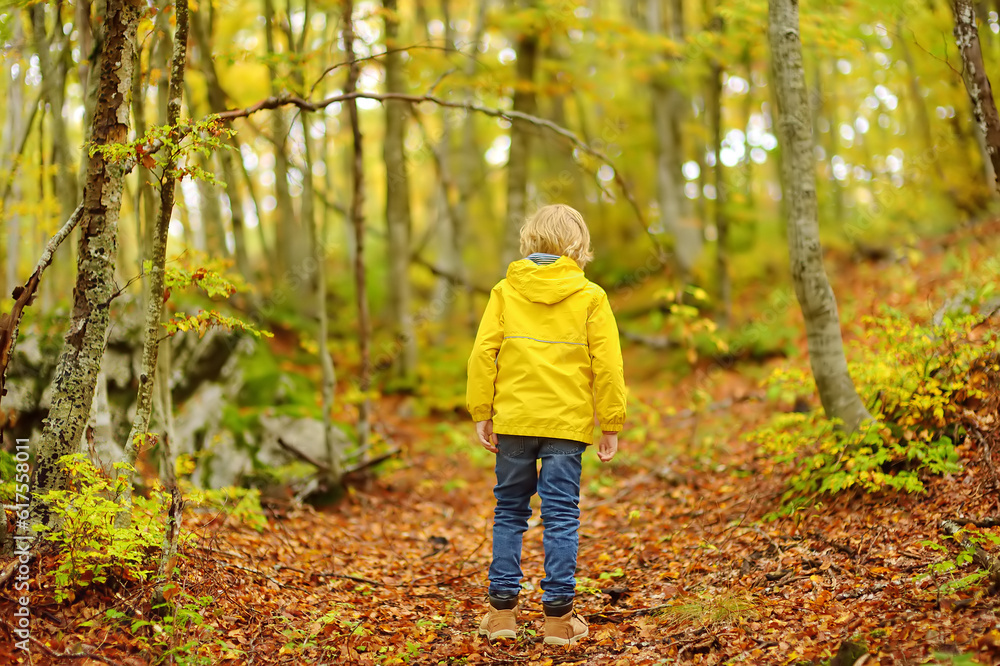 Elementary school boy walks forest in Lovcen National Park, Montenegro on an autumn day. An inquisitive boy exploring nature. Tourism and travel for family with kids. Elementary school boy walks forest in Lovcen National Park, Montenegro on an autumn day. An inquisitive boy exploring nature. Tourism and travel for family with kids.