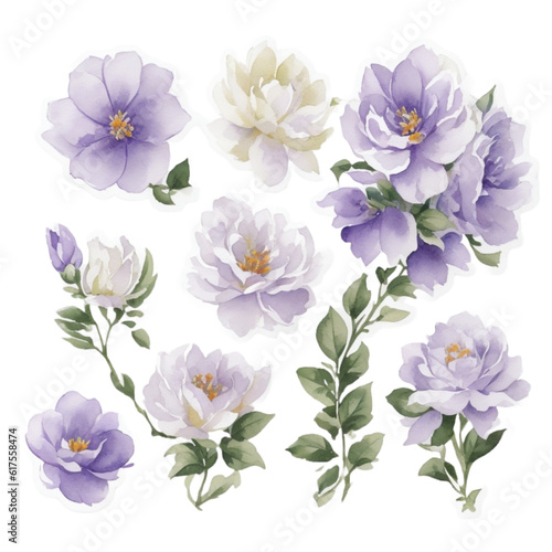 flowers on white background