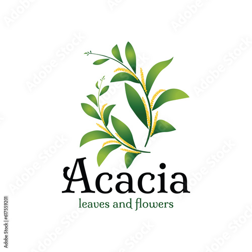 Vector acacia leaves logo design template with modern building architect shape photo