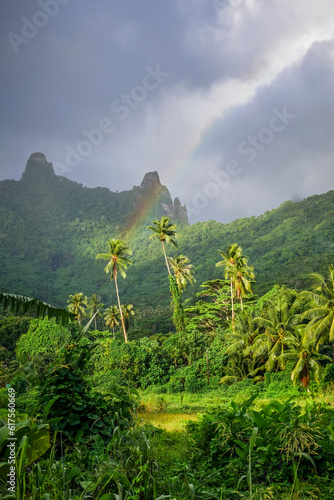 Rainbow on Moorea island jungle and mountains landscape. French Polynesia