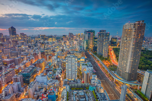 Cityscape image of Tokyo  Japan during sunset.