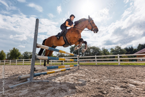 Chestnut horse, ridden by a female rider in a black equestrian outfit, jumping over hurdles in the open arena, low angle shot. © 24K-Production