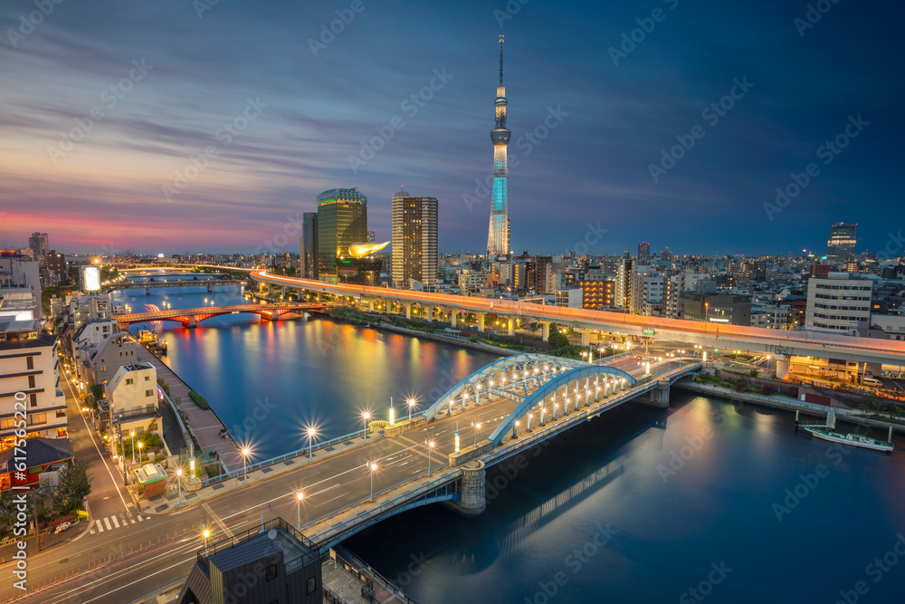 Cityscape image of Tokyo skyline during twilight in Japan.
