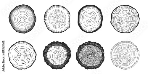 Vector Tree Rings, Saw Cut Tree Trunk, Wood Log, Cross. Pine, Oak Slices, Lumber. Cut Timber, Wooden Texture with Tree Rings. Hand Drawn Design Elements Set