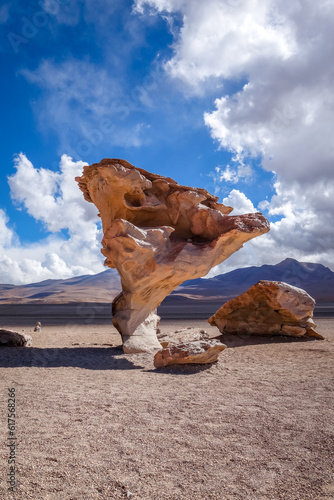 Arbol de Piedra in Siloli desert, sud Lipez reserva Eduardo Avaroa, Bolivia