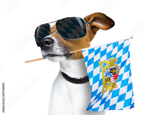 jack russell dog celebrating  beer festival in munich , bavaria germany holding flag in mouth ,  isolated on white background © Designpics