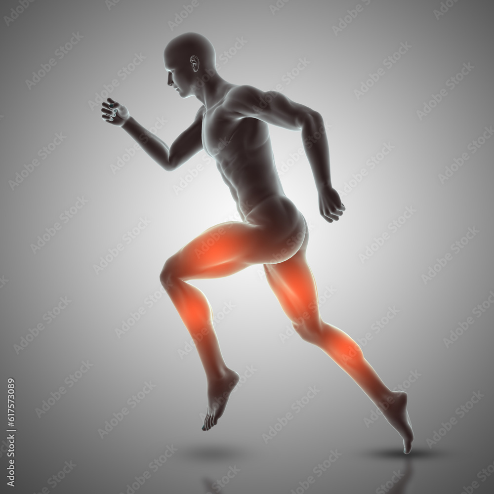 3D render of a male figure in running pose showing muscles used 3D render of a male figure in running pose showing muscles used