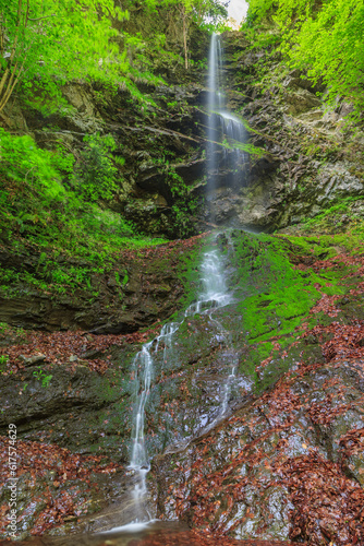Canvas Print Landscape with Valea lui Stan canyon and river in Romania