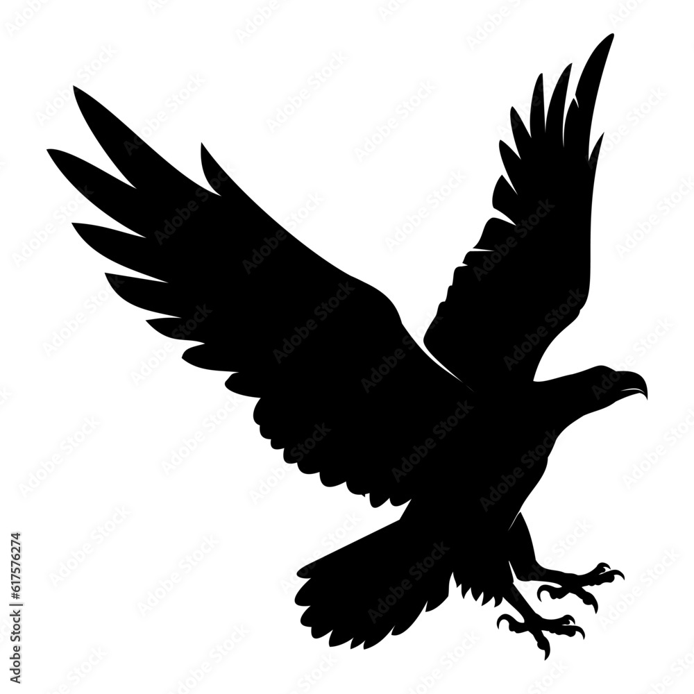 Obraz premium silhouette of eagle