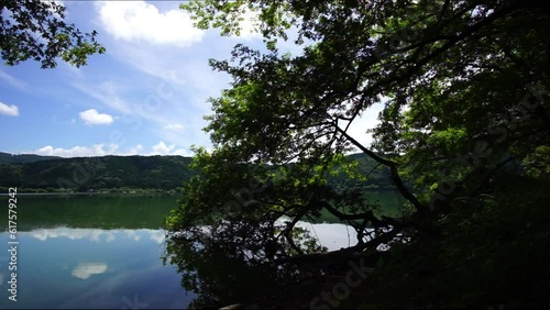 初夏の余呉湖 （2023年6月, 滋賀県長浜市） photo