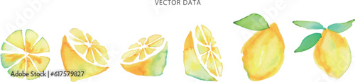 水彩画。水彩タッチのレモンベクターイラスト。夏のレモン挿絵。Watercolor painting. Lemon vector illustration with watercolor touch. Summer lemon illustration.