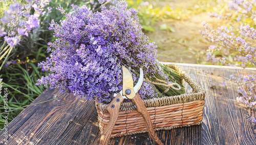 Box with lavender flowers and gardening pruner in field