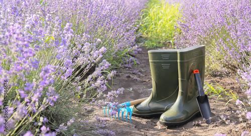 Rubber boots with gardening...