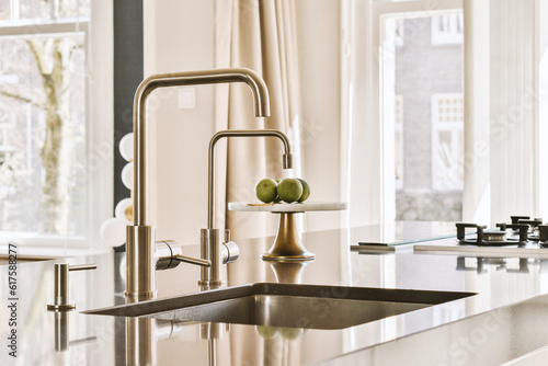 a kitchen sink with an apple on the fauced in it's bowl next to the fauced fauced photo