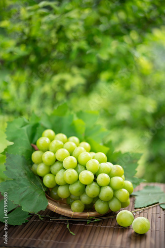 Green grape in Bamboo basket on wooden table in garden, Shine Muscat Grape with leaves in blur background, 