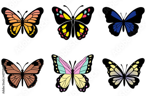 set of Butterfly beautiful wings, spring nature, vector illustration 