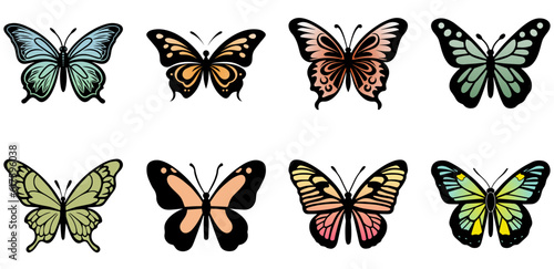 set of Butterfly beautiful wings, spring nature, vector illustration 