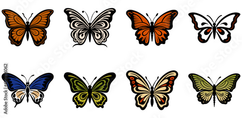 set of Butterfly beautiful wings, spring nature, vector illustration 