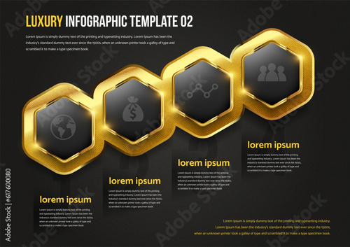 LUXURY INFOGRAPHIC TEMPLATE 02