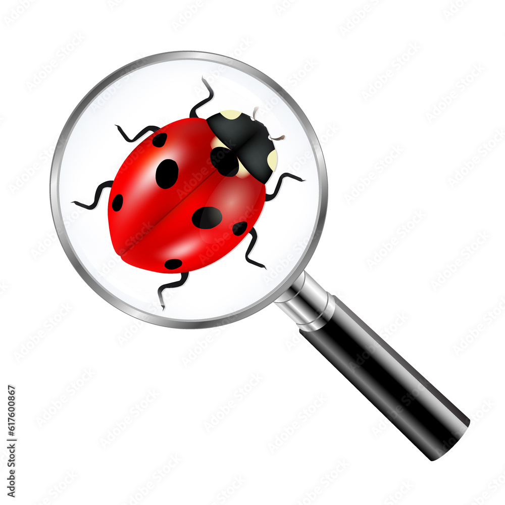 Black Magnifying Glass With Ladybug Gradient Mesh, Vector Illustration Black Magnifying Glass With Ladybug Gradient Mesh, Vector Illustration