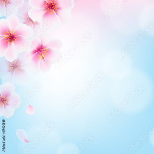 Fototapeta Naklejka Na Ścianę i Meble -  Cherry Flowers With Gradient Mesh, Vector Illustration