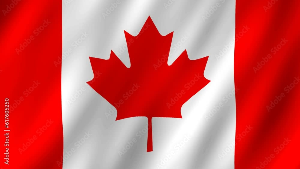 Flag of the Canada waving animation. looping National canada flag animation background 4k Flag of the Canada waving animation. looping National canada flag animation background 4k
