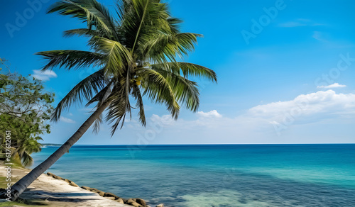 Palm tree stands tall over the Cozumel jungle on the south side of the tropical island. An empty road runs parallel to the vibrant turquoise-blue Caribbean sea