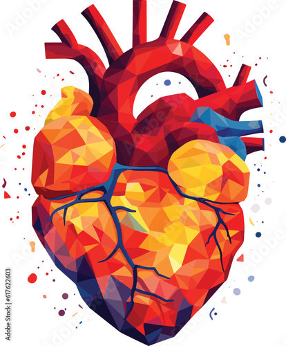 human heart vector illustration on isolated background