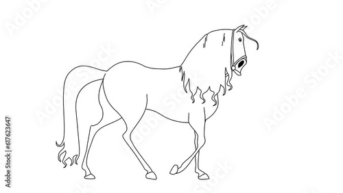 2d Hand Drawn Animation, Walking Horse Cartoon On Isolated White Background photo