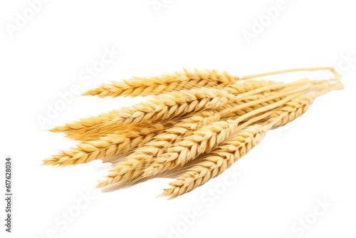 wheat ears, transparent background (PNG). Generative AI.