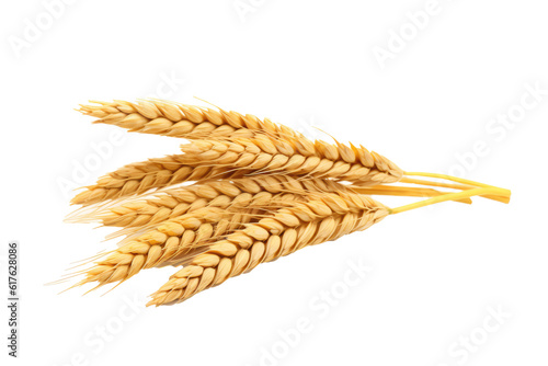 wheat ears, transparent background (PNG). Generative AI.