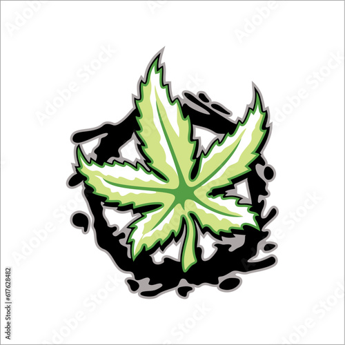vector green leaf decorated with water splash