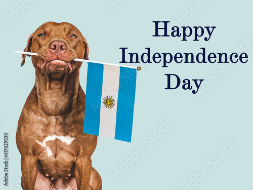 Happy Independence Day. Charming puppy and Flag of Argentina. Closeup, indoors. Studio shot. Congratulations for family, loved ones, relatives, friends and colleagues. Pets care concept