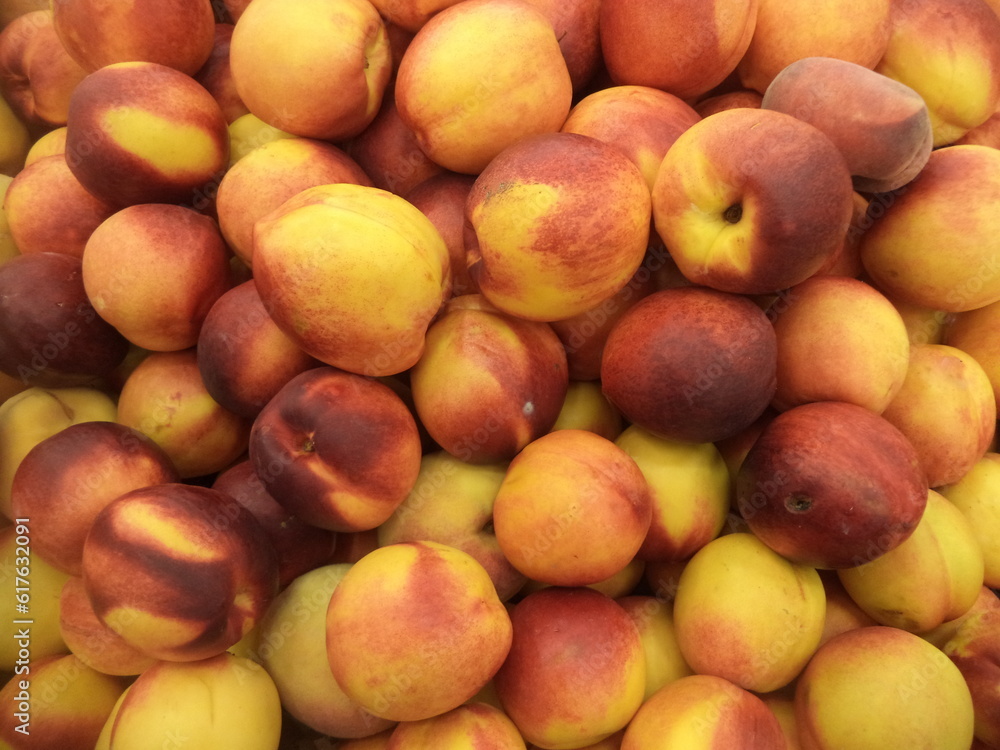 Nectarine Nectarine
