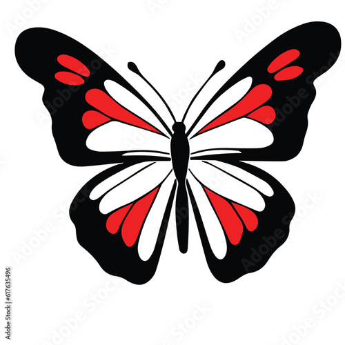 Butterfly beautiful wings, spring nature, vector illustration 