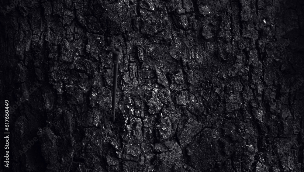 abstract rough wood texture abstract rough wood texture