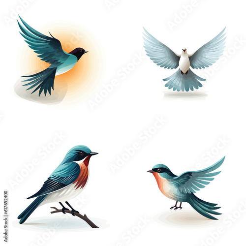 set of birds © Muhammad