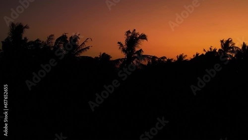 Wallpaper Mural Tropical sunset and coconut palm tree top silhouettes, Lombok Island, Indonesia Torontodigital.ca