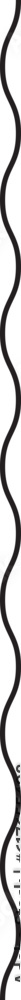 Wavy line vertical divider outline minimalist line art Wavy line vertical divider outline minimalist line art