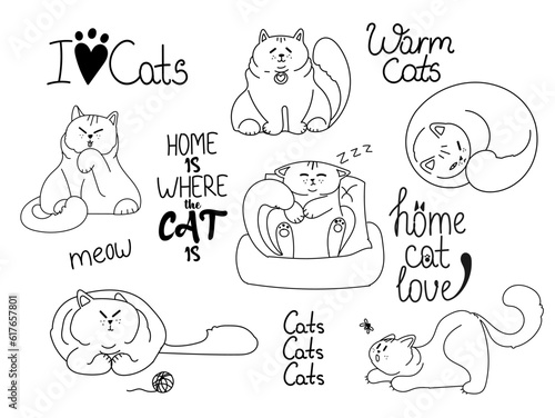 Cute cats collection. Domestic funny kitties. Set of linear vector illustration isolated on white background.