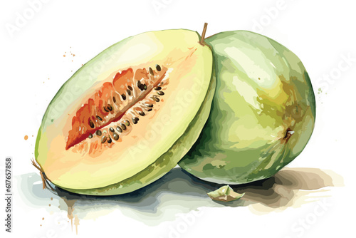 Honeydew melon watercolor painting white background.