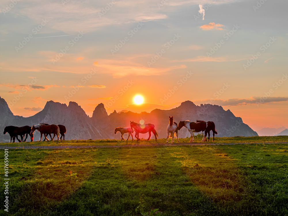 Horses on a Mountain with Mountains and the Sunset in the background in Nassfeld Pressegger See, Austria Horses on a Mountain with Mountains and the Sunset in the background in Nassfeld Pressegger See, Austria